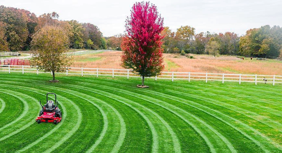 lawn mowing patterns techniques