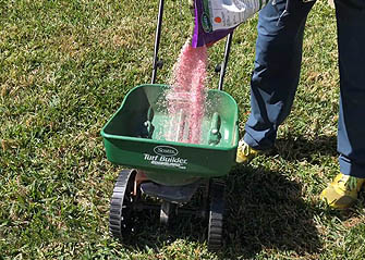 preparing weed and feed for southern lawns