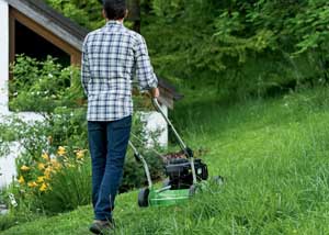 using a cheap lawn mower