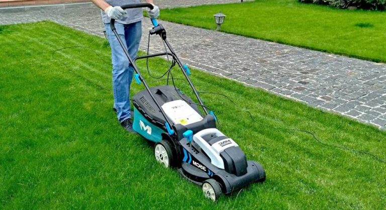 When To Mow After Overseeding - Lawncare